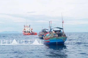 Hơn 1.000 ngư dân trên 135 tàu đánh cá ra khơi tìm kiếm Thượng tá Khải