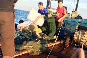 3 ngư dân bị chìm tàu bơi 60 phút trên biển được cứu sống