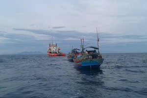 Khoanh vùng tìm kiếm Su-30 trên biển Nghệ An