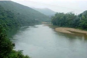 Dạy cháu tập bơi, cả hai chú cháu chết đuối thương tâm