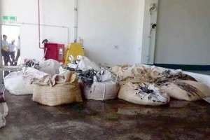 Chưa có công ty nào xử lý được rác thải nguy hại của Formosa