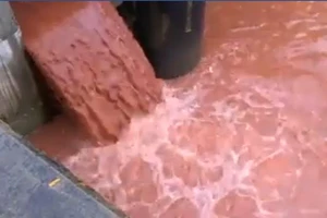 Kết quả xác minh về clip cho là Formosa xả thải