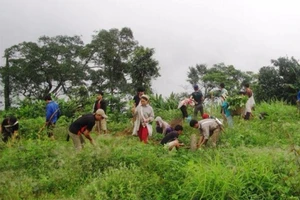 Một xã có tới 20 trẻ em bị suy thận, 2 em đã tử vong