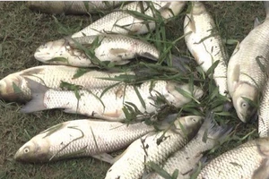 Bộ Công Thương kiểm tra vụ vỡ đập chứa bùn thải quặng