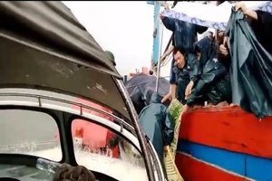 Kéo lưới đứt dây tời, 1 ngư dân tử vong trên biển