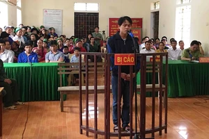 Thích là vác cưa vào rừng đốn gỗ pơ mu về xài