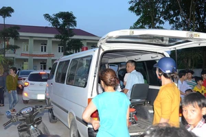 Ăn quả ngô đồng cho thông minh, 50 học sinh ngộ độc