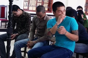 Sử dụng ma túy cho tỉnh ngủ để... lái xe