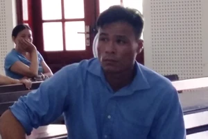 Thuê người phá 20.850 m2 rừng rồi xin hưởng án treo