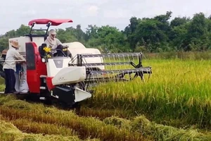 Công an bắt 2 kẻ 'bảo kê' gặt lúa ở Nghệ An