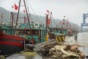 Bão số 10: Hà Tĩnh đang sơ tán hơn 47.000 dân