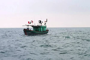Ngư dân mất tích khi đi trên tàu đánh cá