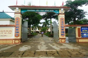 Phụ huynh đấm hiệu trưởng chảy máu: Khởi tố 2 bị can