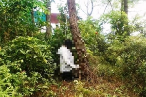 Đề nghị khai quật tử thi nữ kế toán để làm rõ cái chết