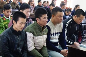 Tham 55 triệu tiền công lĩnh án tù chung thân