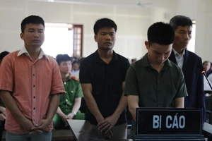 Cha lĩnh án tù vì để anh nhận tội giết người thay em