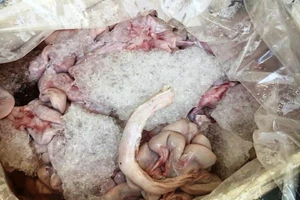 Chặn hơn 430 kg nội tạng thối chuẩn bị vào TP.HCM