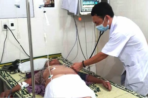 Cứu sống cụ bà 79 tuổi bị hàng trăm con ong vò vẽ đốt