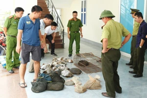Khởi tố vụ án tê tê, rùa, ba ba “đi” xe khách giường nằm