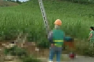 4 người tử vong vụ trồng cột cáp: ‘Bài học lớn với Viettel’