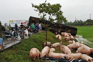 Đầu xe đông lạnh nát bét sau cú tông xe tải, 3 người bị thương