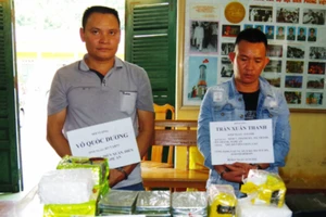 Mang hơn 30 kg ma túy vào khách sạn