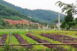 Di dời dân, chuyển đất rừng để xây dựng sân golf Mường Thanh 