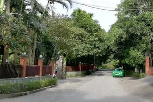 Nhóm sinh viên đi chụp ảnh gặp người chết trên cây 