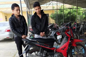 Con rể trộm chó để bán cho mẹ vợ