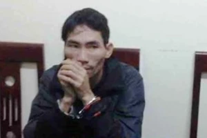 Ôm 12kg ma túy băng rừng vào Việt Nam