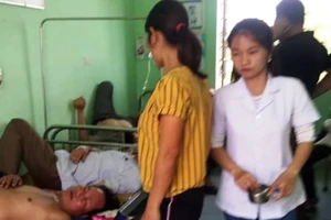 Đi thắp nhang, 2 cán bộ xã và hàng chục người bị ong đốt