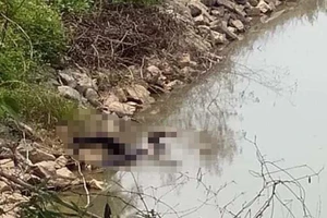 Nữ sinh lớp 9 nhảy hồ tự tử sau khi cãi nhau với bạn trai