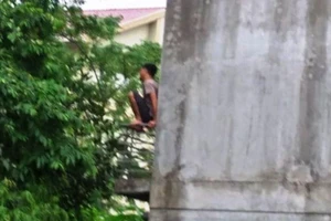 Cảnh sát bắt kẻ ngáo đá chặt cổ gà, leo lên nhà dân 