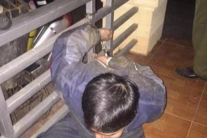 Mang tuýp sắt, súng điện đi bắt trộm chó