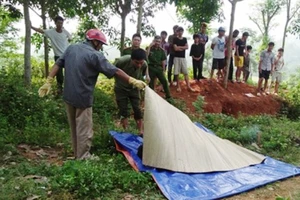Thanh niên tử vong ở bìa rừng nghi do sốc ma túy