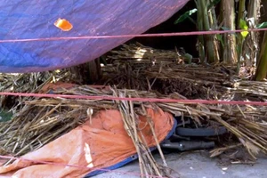 Đang lấy lời khai nghi phạm thì nhận tiếp tin án mạng gần đó