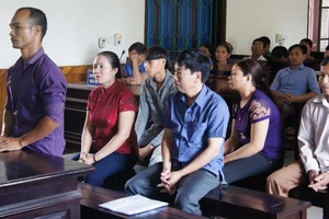 Mở lại phiên xử vụ cặp vợ chồng kêu oan tội hủy hoại rừng