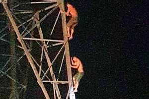 Giải cứu người đàn ông giận vợ leo lên cột điện cao thế