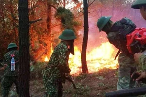 Thủ tướng chỉ đạo tăng cường phòng cháy, chữa cháy rừng