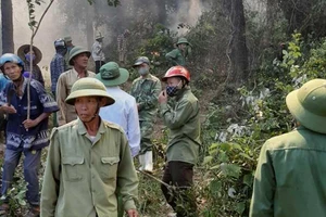 Bắt giữ người nghi gây ra vụ cháy lớn rừng núi Hồng Lĩnh
