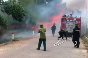 Dập đám cháy rừng, 1 phụ nữ tử vong
