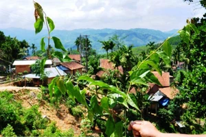 Nam sinh và cô gái 17 tuổi tự tử bằng lá ngón 