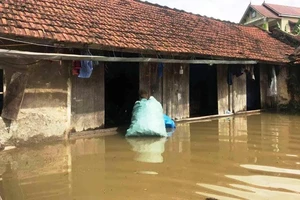Mưa lớn làm vỡ kênh gây ngập ở Nghệ An