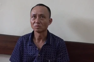 Tạm giam 3 người đàn ông đốt ong lấy mật gây cháy rừng 