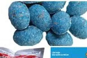 Thương tâm: Anh nguy kịch, em tử vong vì thuốc diệt chuột