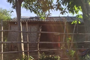 Bé gái 2 tuổi tử vong bất thường khi ở nhà với bạn trai của mẹ