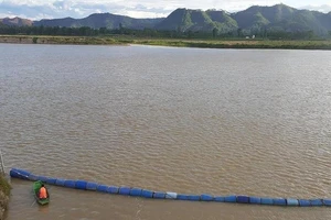 Nghệ An: Nước sông Lam dư nhưng dân thiếu nước sạch