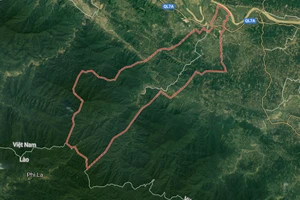 Tiêu hết tiền của chồng, đi hoang báo bị thôi miên cướp tiền 