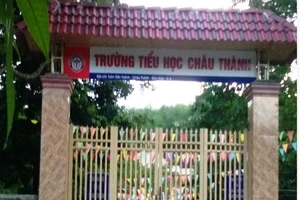 Hiệu trưởng bị tố ăn chặn sữa học đường của học sinh nghèo