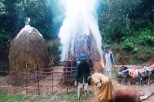 Trời nổi cơn dông, sét đánh chết bò xóa đói giảm nghèo